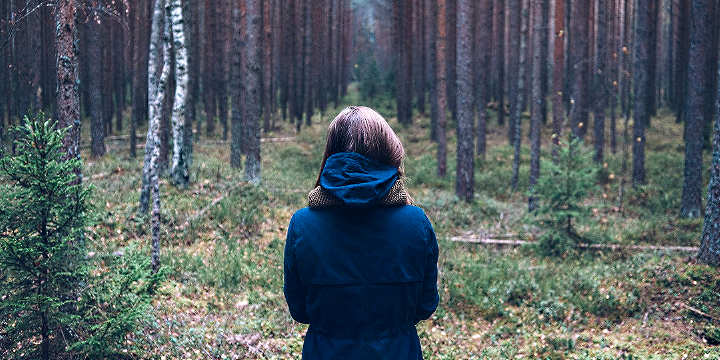 Manchmal sieht frau beim nachhaltig investieren den Baum vor lauter Wald nicht